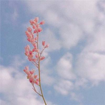 万博手机版app下载